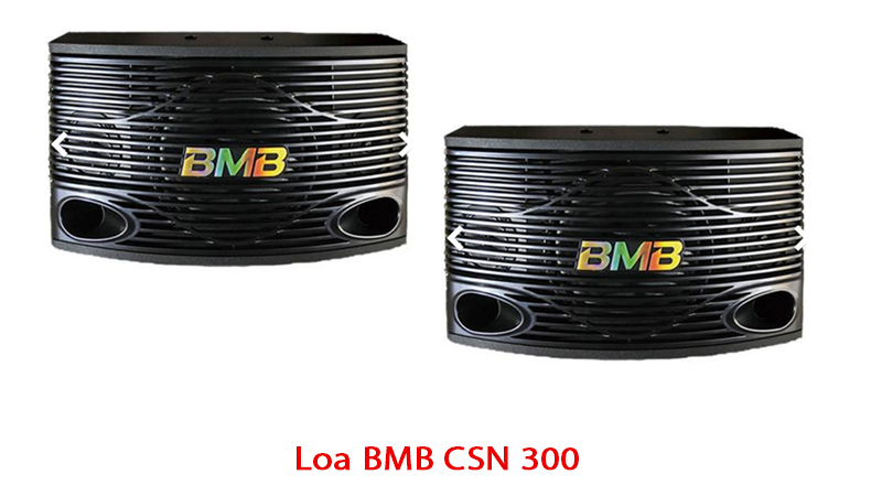 Loa BMB CSN 300 SE